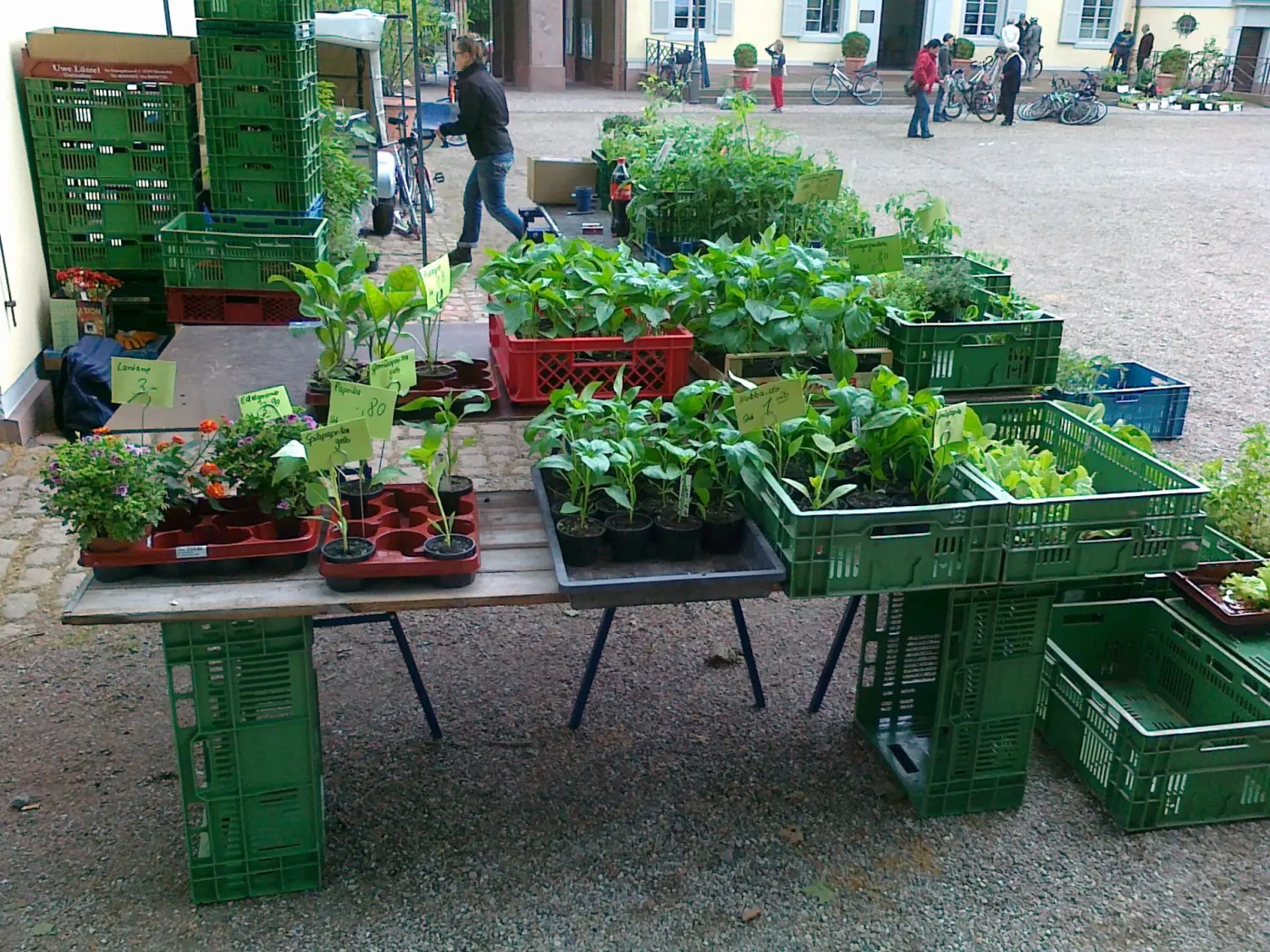 Kleine Pflanzen von Rainer`s Gartenparadies