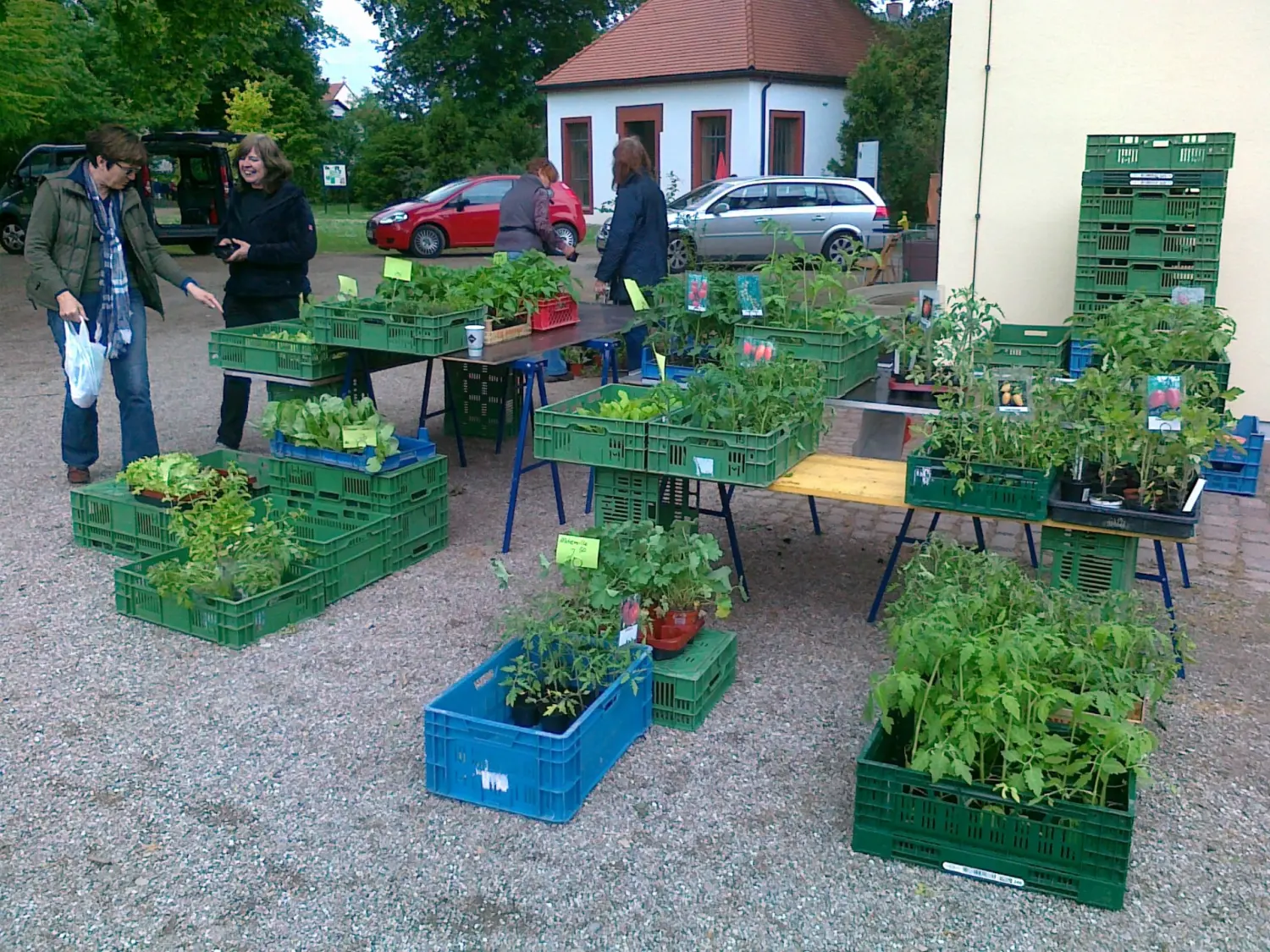 Kleine Pflanzen von Rainer`s Gartenparadies