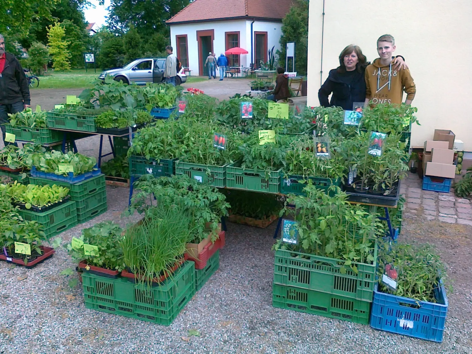 Kleine Pflanzen von Rainer`s Gartenparadies